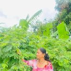 Devi Bhandari - Facebook
