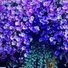 devi bhattarai - @devi.bhattarai73 - TikTok