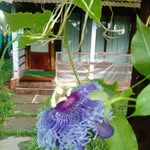 Devi Bhattarai - @devi.bhattarai.969 - Instagram
