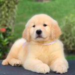 Devi ____goud___ - @deviiii____goud____ - Instagram