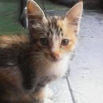 Devi daniarti yusuf - @devi_laskar74 - Instagram