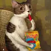 Devin.Airr - @devinairr - TikTok