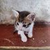 Prabhakaran Deva - Facebook