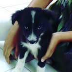 Manasa Devi Raghuraman - Facebook