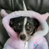 Devin Abraham - @devin.abraham785 - TikTok