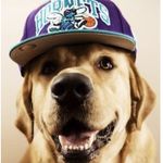 Devin Albrecht - @swagdogspamz_69 - Instagram