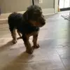 devinallen2878 - @devinallen2878 - TikTok