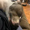 Devin - @devin.baker3 - TikTok