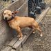 Devin Battle - Facebook
