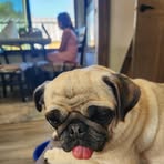 Devin Bourne - Facebook