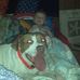 Devin Boyer - Facebook
