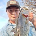 Devin Bragg - @dbows_bass - Instagram