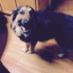 Devin_Brandon - @devin_brandon_ - Instagram
