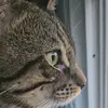 Devon Burkhart - @devon.burkhart6 - TikTok