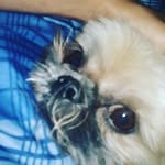 Devin Bushell - @devin_bushell4 - Instagram