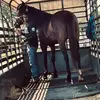 Devin Chaney - @_devindademon_ - TikTok