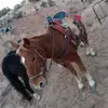 Devin Chester - @devin.chester - TikTok