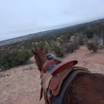 Devin Chester - @devinchester17 - Instagram