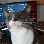 Devon Choate - @skeletor542 - Instagram