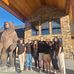 Devin Christensen - Facebook