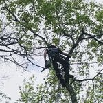 Devin Tyler Crosby - @blackedoutf150 - Instagram
