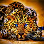Devin Cunningham - @_only_the_family4 - Instagram