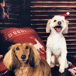 Patricia Devin-Doan - @gestopatti - Instagram