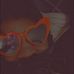 Devin Dodd - Facebook