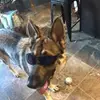 devindunnagan_32 - @devindunnagan_32 - TikTok