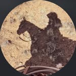 @devin_eldridge10 - Instagram