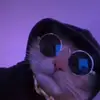 devineverett - @devineverett - TikTok