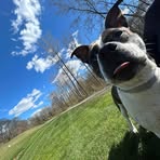Devon Ferris - Facebook