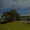 ️ - @devin.fisherr - TikTok