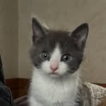 Devin Fisher - @_itz.devin_ - Instagram