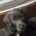 Devin Fisher - Facebook