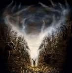 Devin Forrest - Facebook