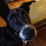 Devin Gamble - @devingamble - Instagram