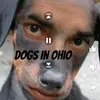 BENTHEDOG - @devingarrett816 - TikTok