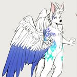 Devin Garrett - @devionater - Instagram