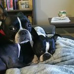 Devin Garrett - @_devin_garrett_11 - Instagram