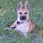 Devin Gerow - Facebook