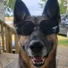 Devin - @devingill.11 - TikTok