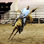 Devin Gilmore - @devin.gilmore.54 - Instagram