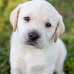 Devin Gilson - Facebook