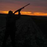 Devin Goss - @devin.goss.391 - Instagram