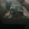 Devin Grant - @devin.grant - TikTok