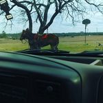 devingraves - @devingraves_ - Instagram