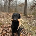 Devin Grissom - @hookedontrapping - Instagram