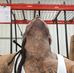 Devon Groves - Facebook