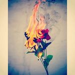 devin guerrero - @guerrerodevin18 - Instagram